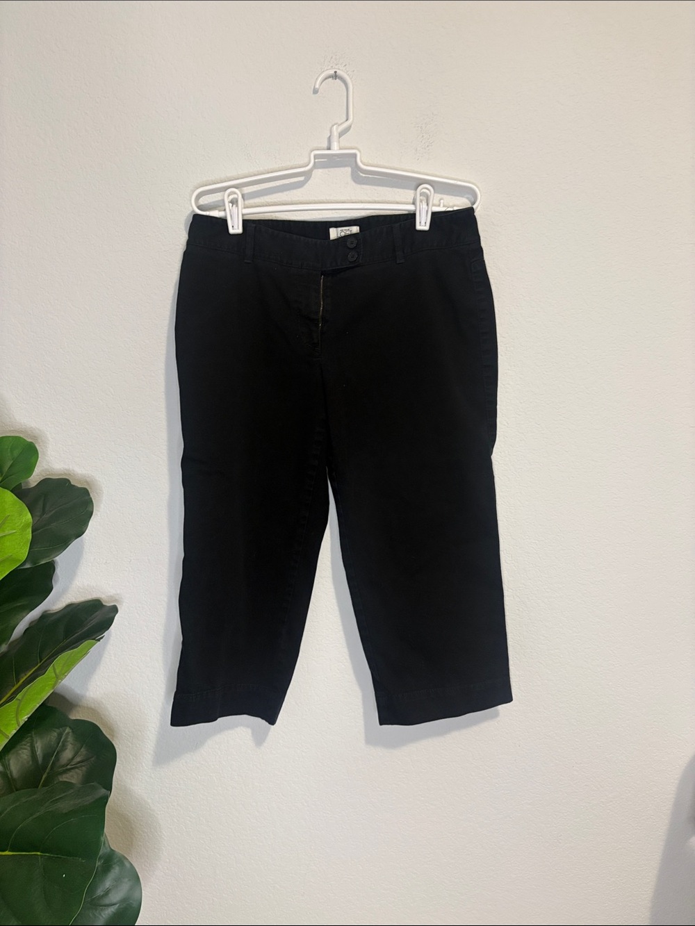 LOFT Petites Black Capri Trousers - Julie 8P